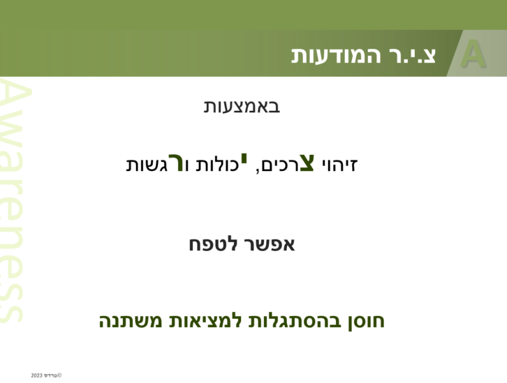 ציר המודעות - זיהוי צרכים, יכולות ורגשות