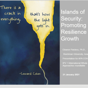 מצגת על Islands of Security - Promoting Resilience and Growth 2021