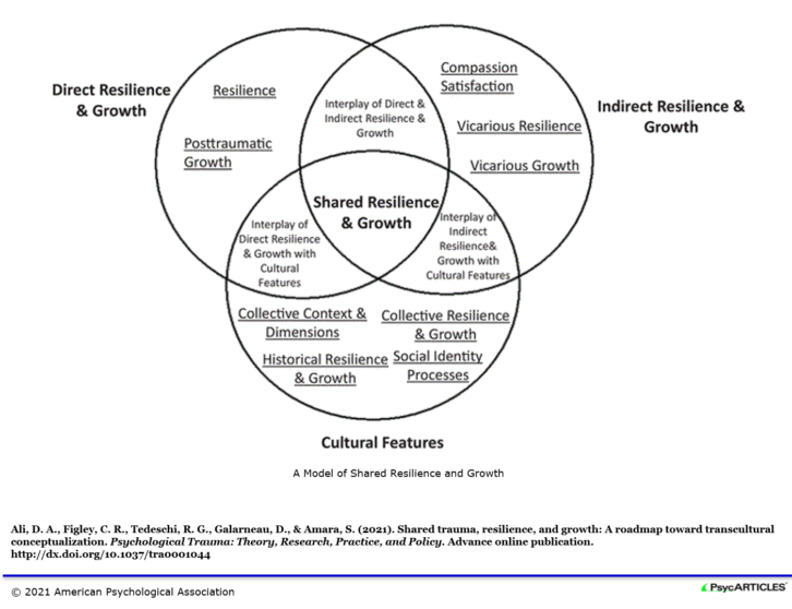 A MODEL OF SHARED RESILIENCE & GROWTH