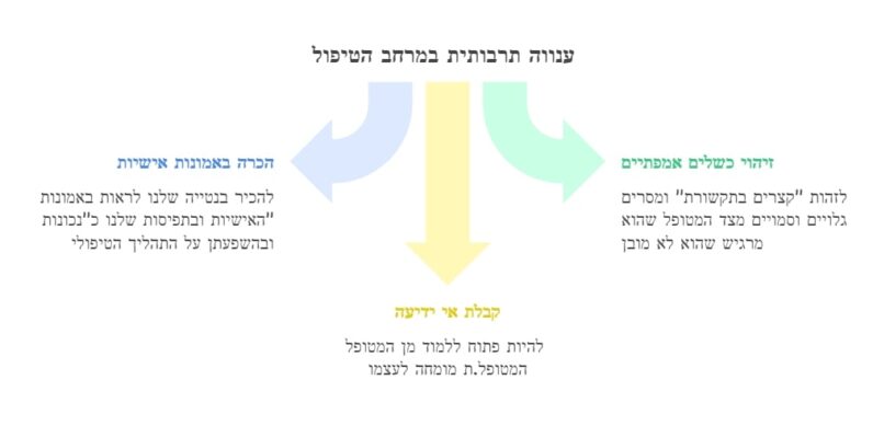 ענווה תרבותית במרחב הטיפולי - הלכה למעשה