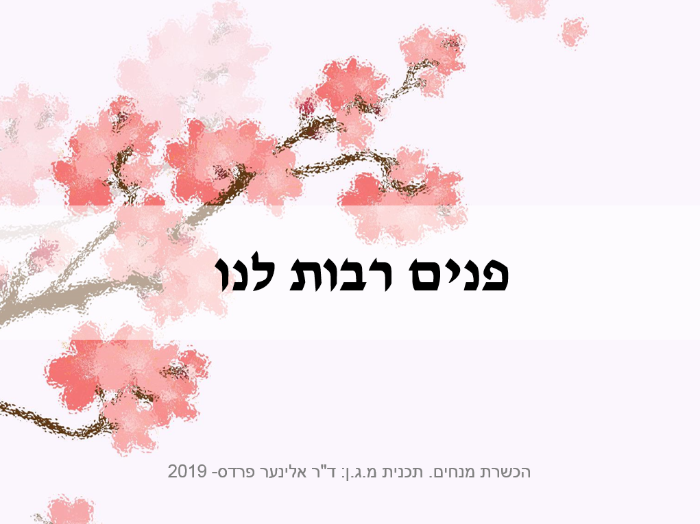 פנים רבות לנו - סדנאות